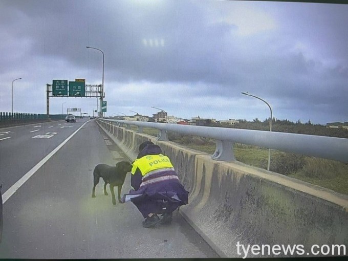 【有片】調皮小黑闖快速道路 波麗士「肉肉戰術」引誘成功 11 646671