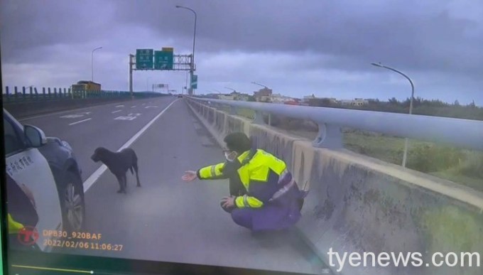 【有片】調皮小黑闖快速道路 波麗士「肉肉戰術」引誘成功 13 646672
