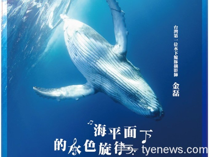 聽見鯨魚在唱歌 海平面下的水色旋律 16 未命名 1 1