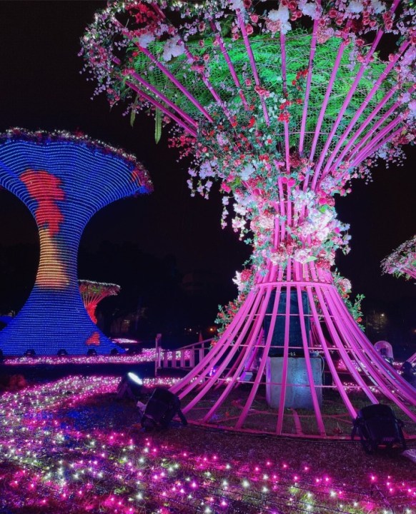 桃花林 中壢光明公園打造一片「桃花林」。圖:桃市觀旅局提供
