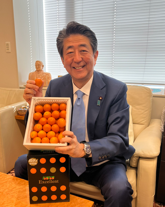 【虎觀點】安倍已經在往台灣的路上