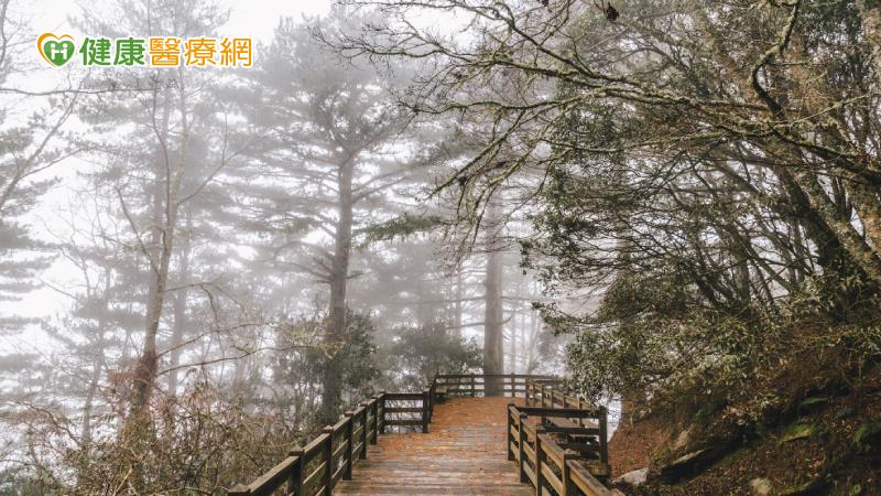 天冷上山頭暈、嘔吐 母子雙人失溫險喪命