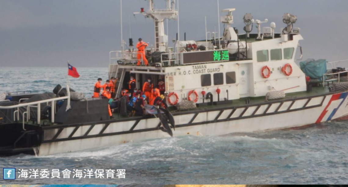 新北八里擱淺糙齒海豚 今日順利回到大海