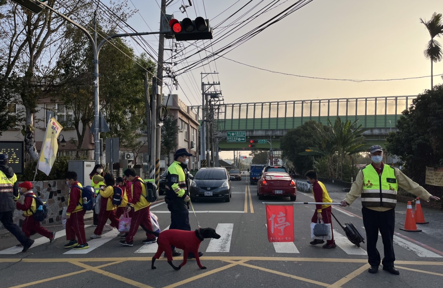 ▲月眉所警犬花花參與護童任務,盡責在斑馬線上巡視 (圖/台中大甲分局 提供)