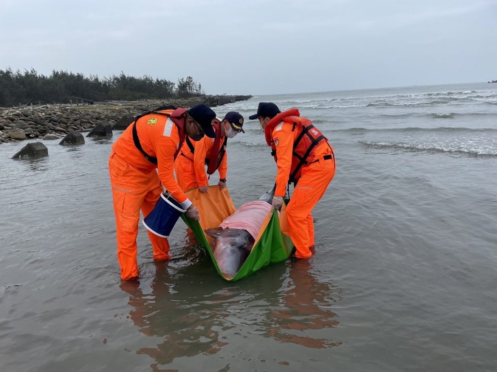 海巡署中部分署提供