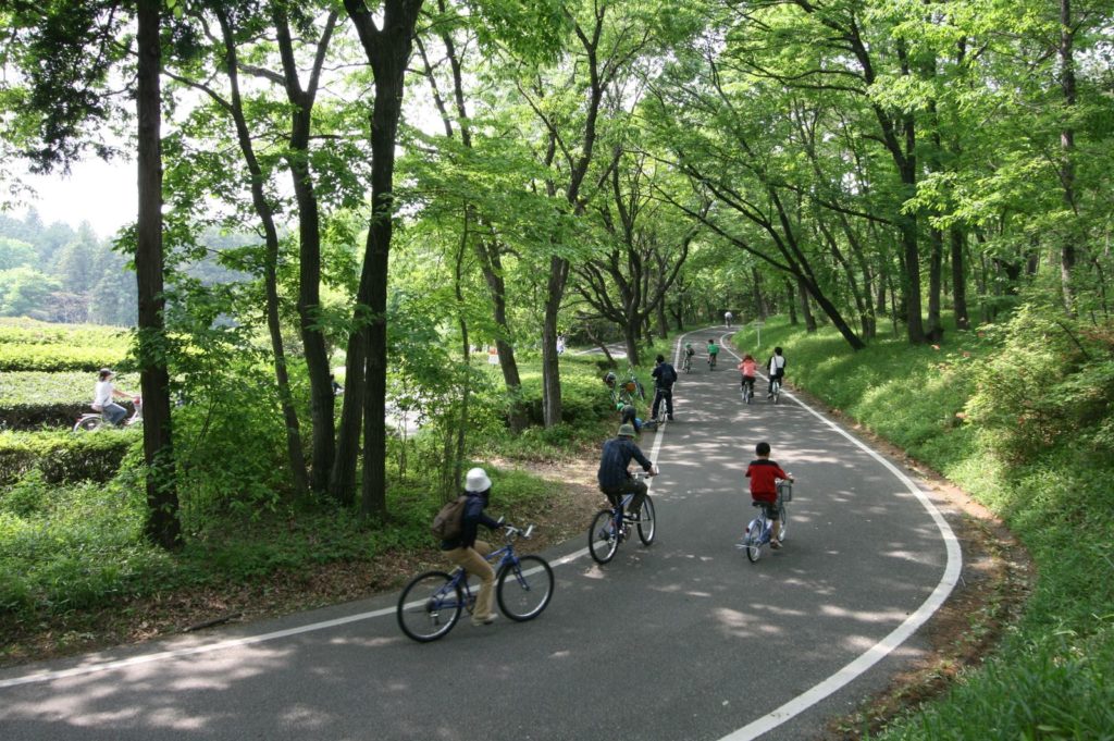 在森林中騎乘自行車    國營武藏丘陵森林公園