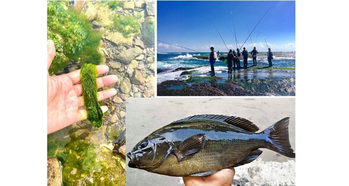 嚴冬下頂浪高手與黑毛在海岸邊過招