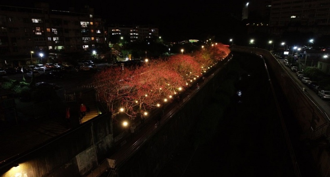 期待再相會 樂活公園賞夜櫻倒數一週!