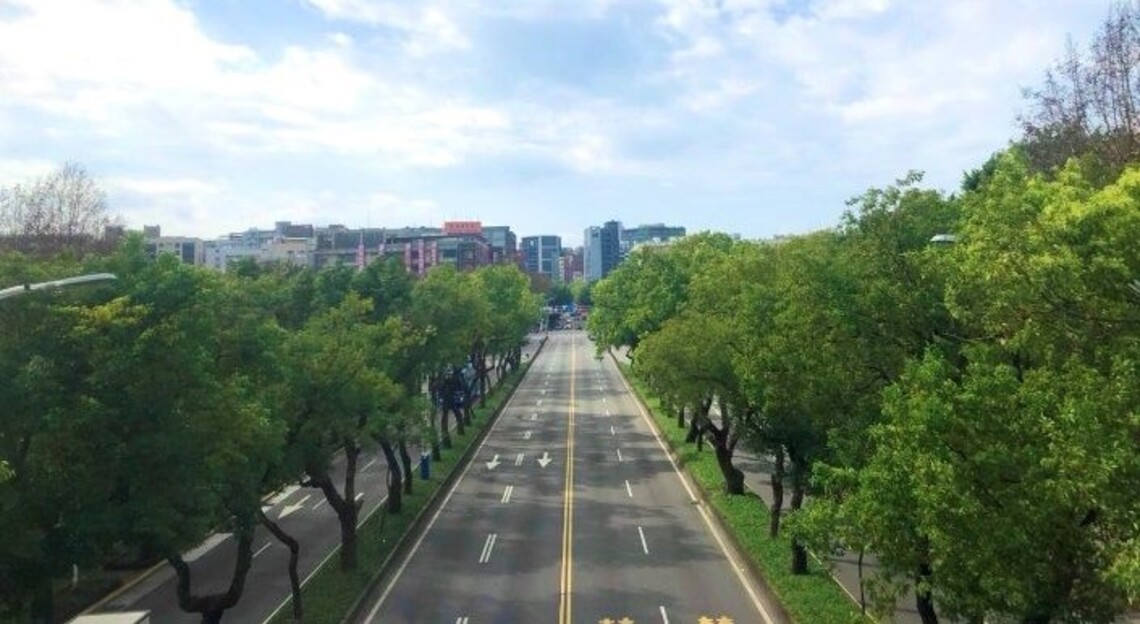 漫步中山北路森呼吸 徜徉樟樹、楓香綠蔭街道