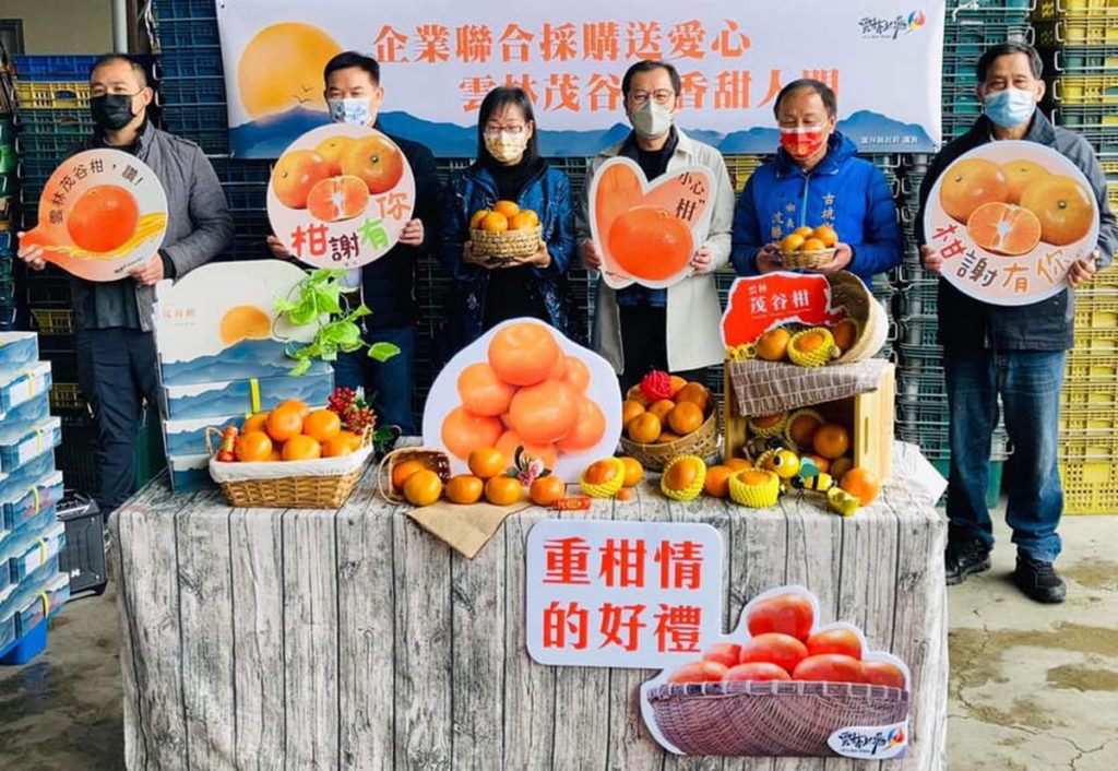 企業聯合採購送愛心 雲林茂谷柑香甜人間
