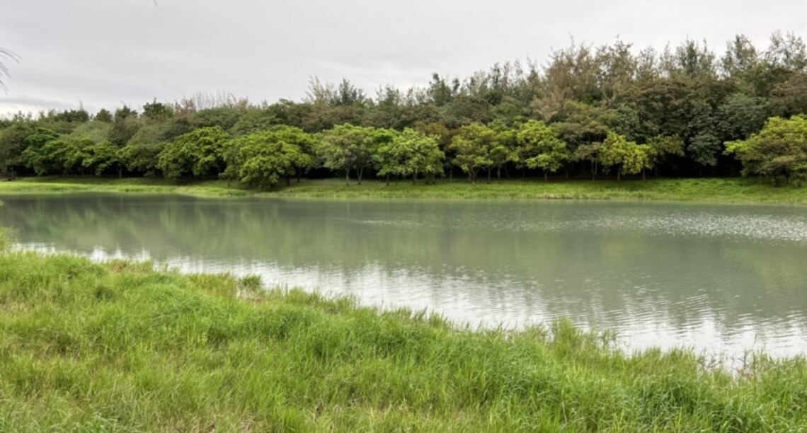 台東縣府啟動森林公園鷺鷥湖清淤工作 邀環保團體來獻策 期兼顧生態環境