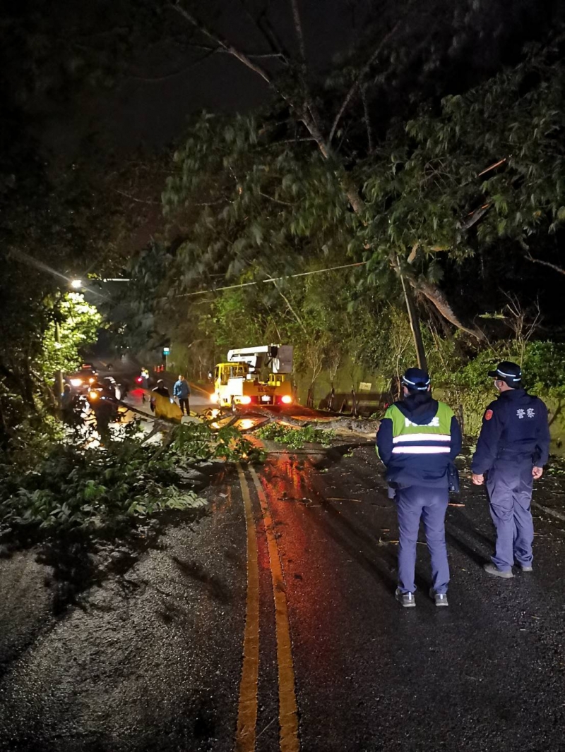 寒流發威全台降雨急凍 三義鄉路樹倒壓電線