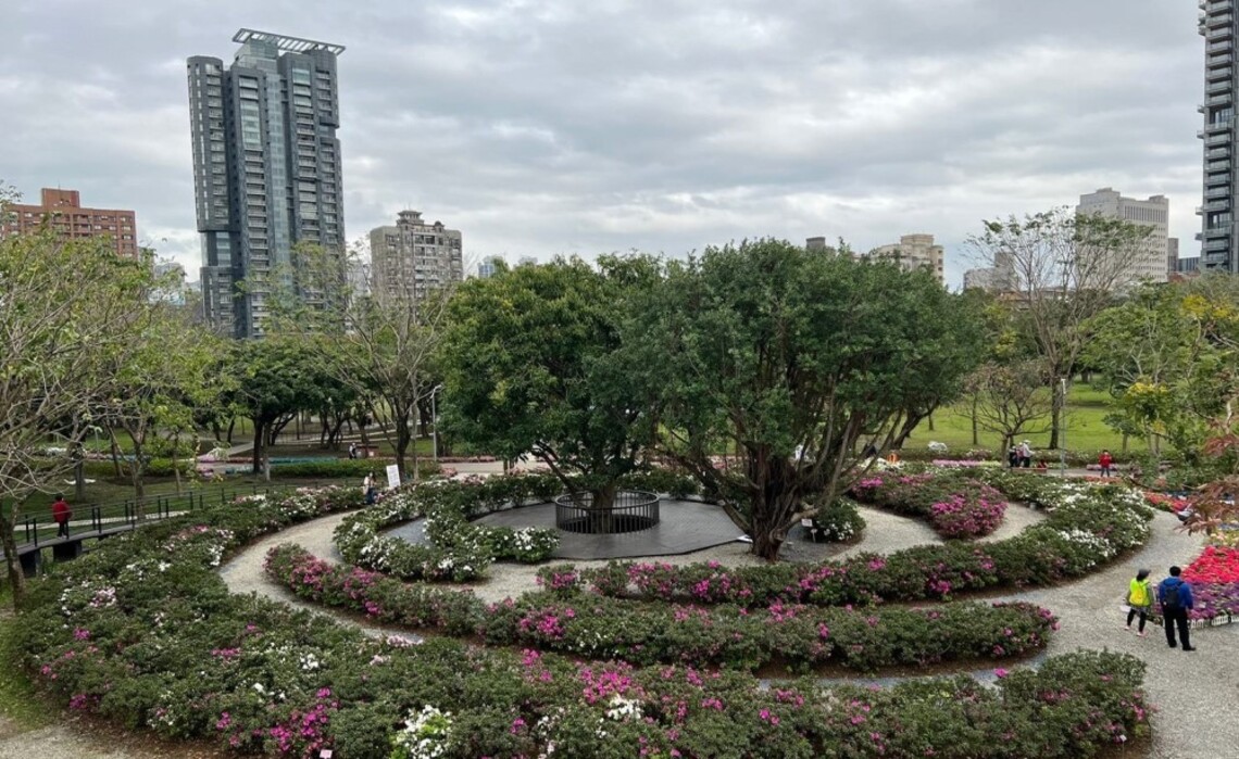 台北杜鵑花季3/1開跑 大安森林公園百花齊放