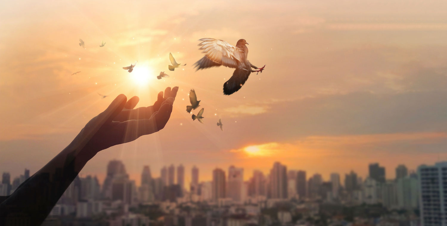 和平不要戰爭！美不應逼台灣挺進前線