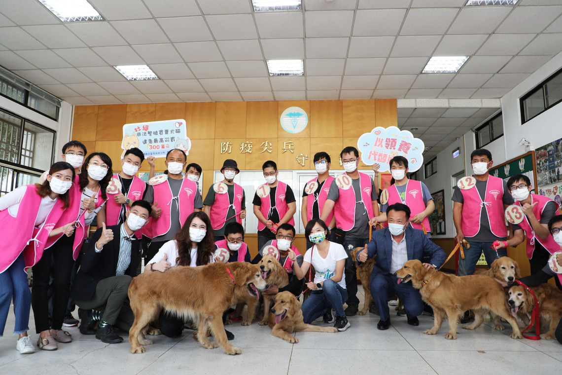 全台逾千人搶認養!嘉義縣14隻黃金獵犬 直播抽籤找新主人