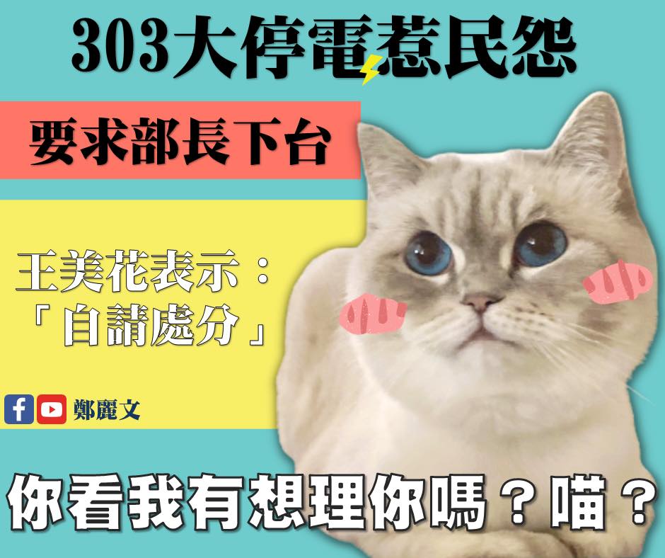 王美花自請處份 藍委:各種花式跳電讓蔡政府的保證變得廉價 112 275009550 947135819310356 3748719986405495477 n