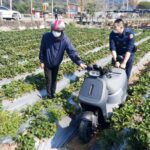 ▲因苗栗大湖二橋改建中,有民眾不想騎車繞道而直走田間小路,不慎連人帶車摔進草莓園 (圖/苗栗縣警察局 提供)