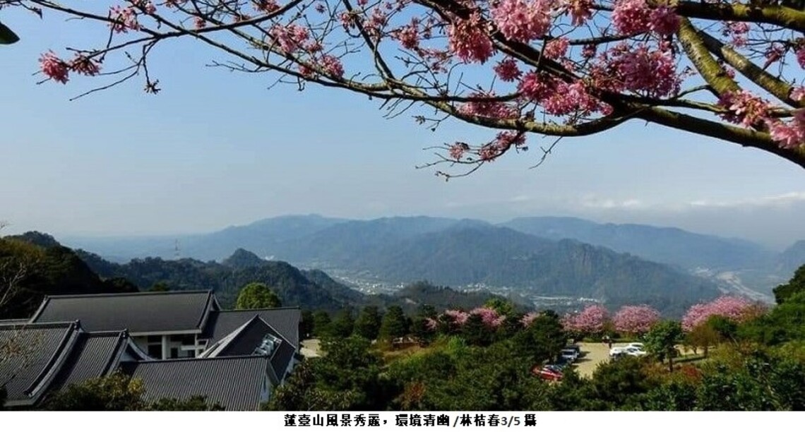 苗栗賞櫻絕美景點,蓮臺山昭和櫻盛開