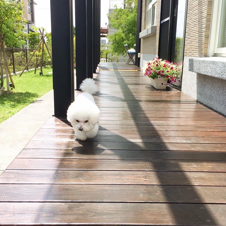 好漾民宿 @bichon Tangyuan