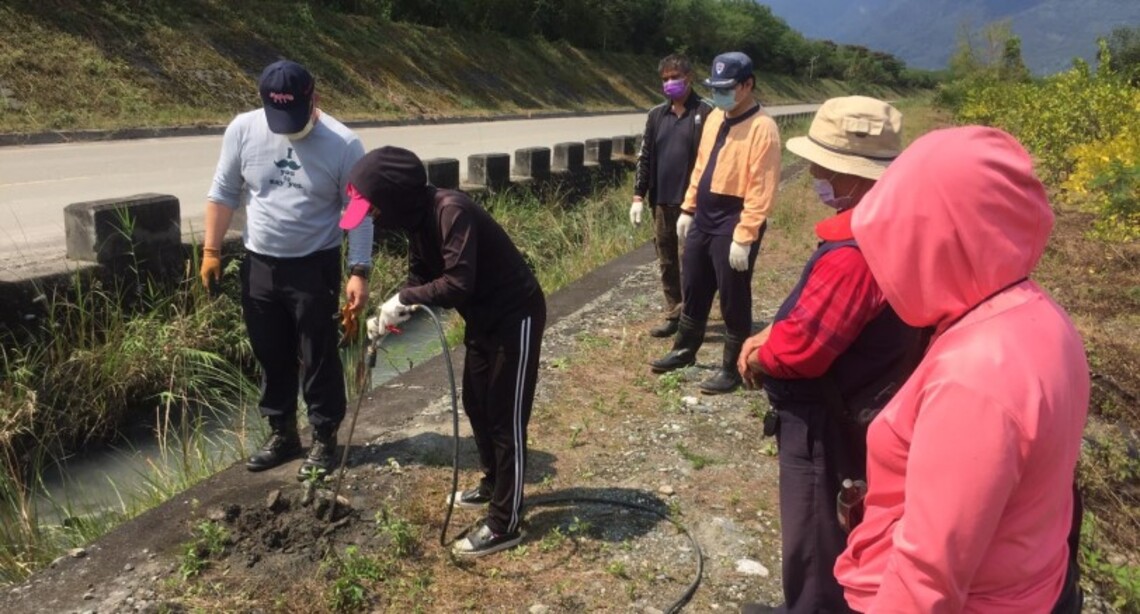 積極防治入侵紅火蟻危害 花蓮縣府攜手鳳榮及光豐農會培訓施藥防治人力
