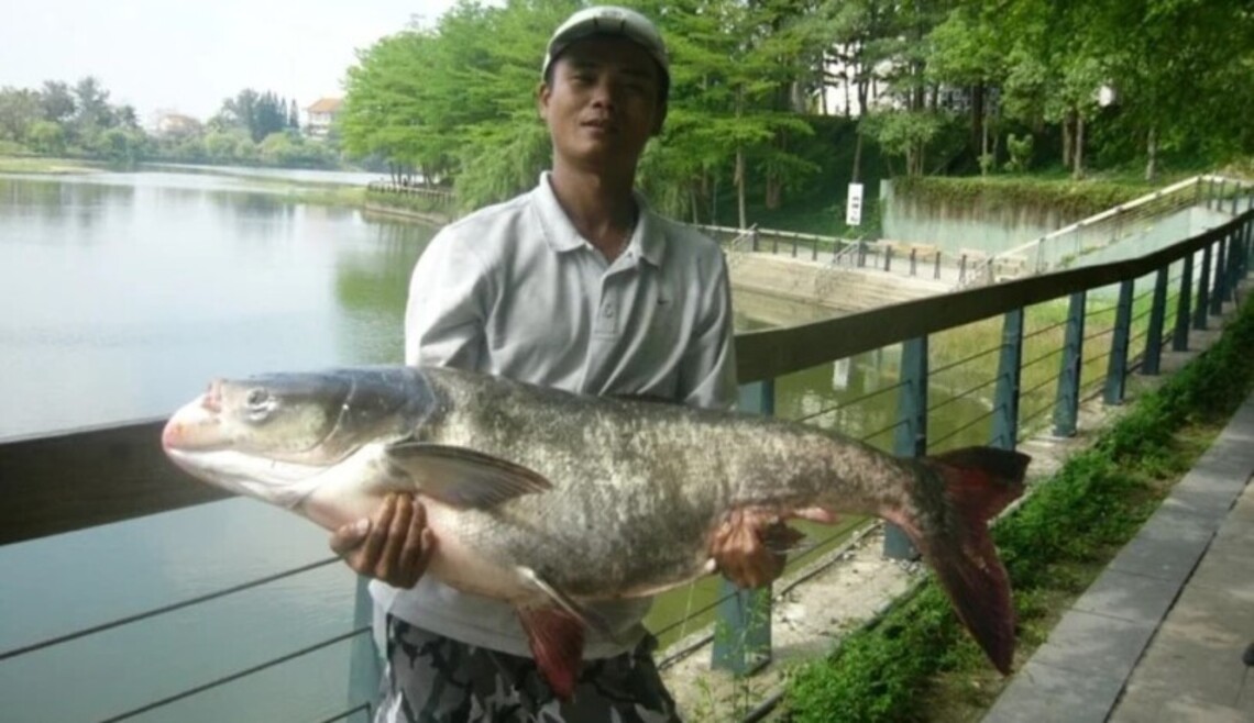 虎頭埤辦釣魚賽 釣外來魚有獎