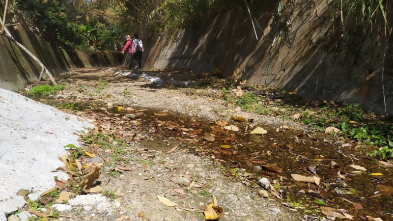 探尋彰化市秘境 石牌步道輕鬆健行享受山林