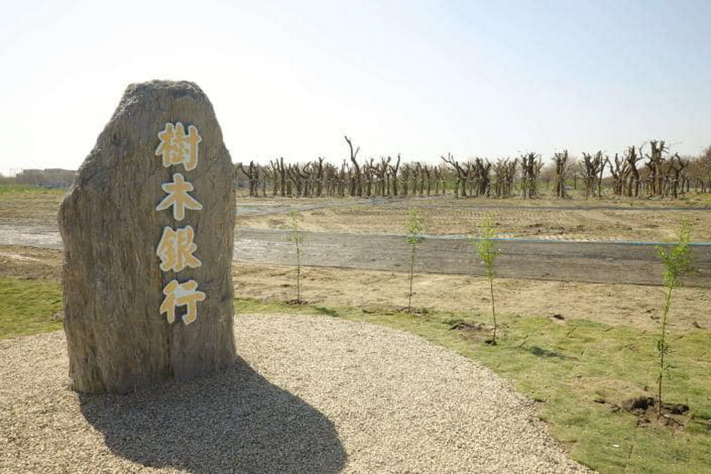 響應聯合國永續發展目標植樹減碳