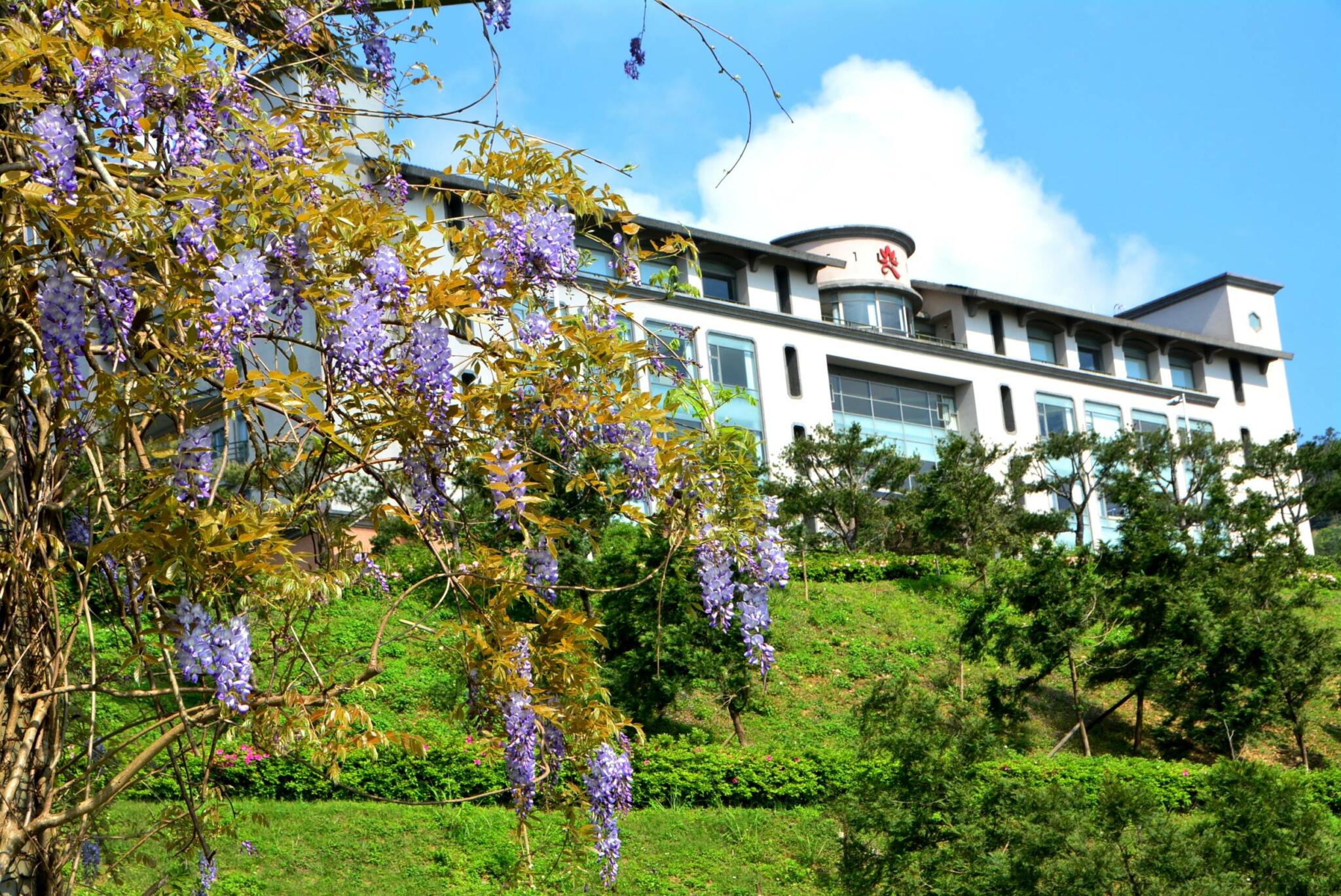3.校園四季繁花盛開