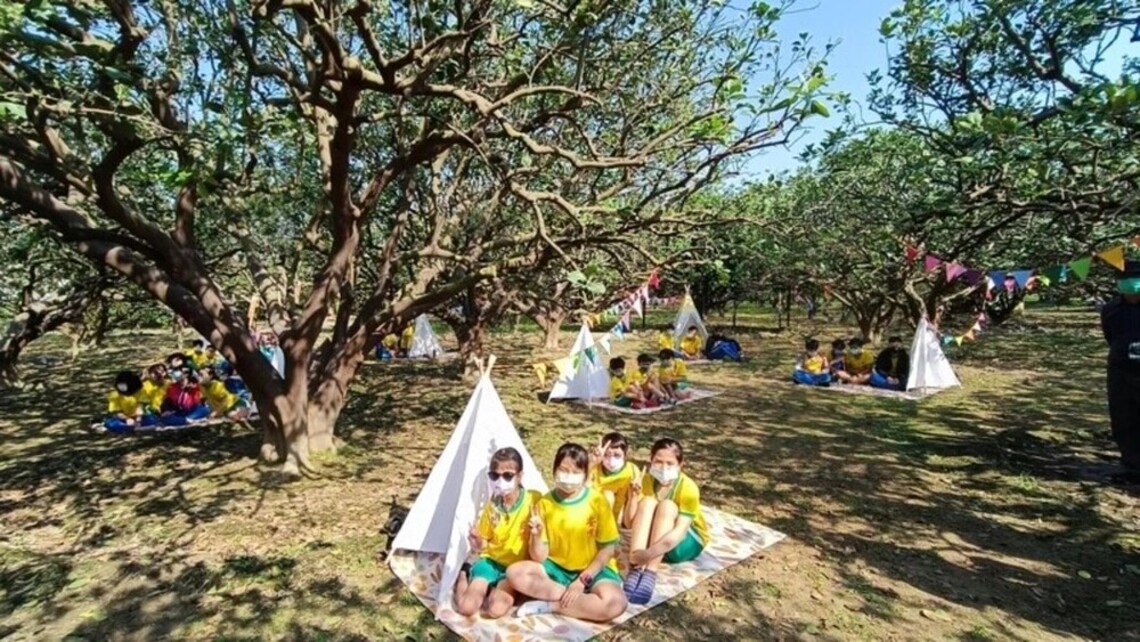 台南麻豆柚花藝術節週六登場
