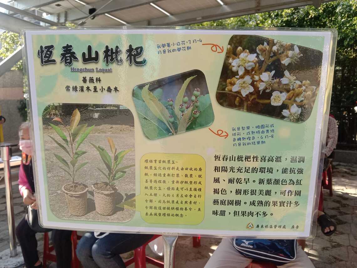 波新聞報導3月11日贈苗，提及民眾不易買到原生樹苗一事回應文/波新聞
