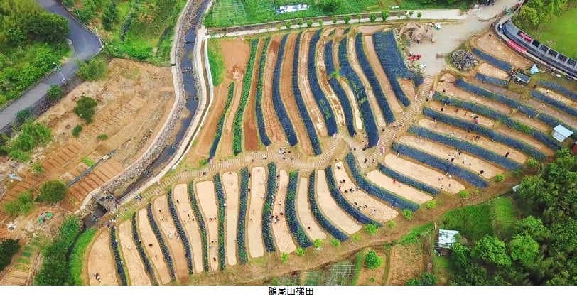 可能是戶外的圖像