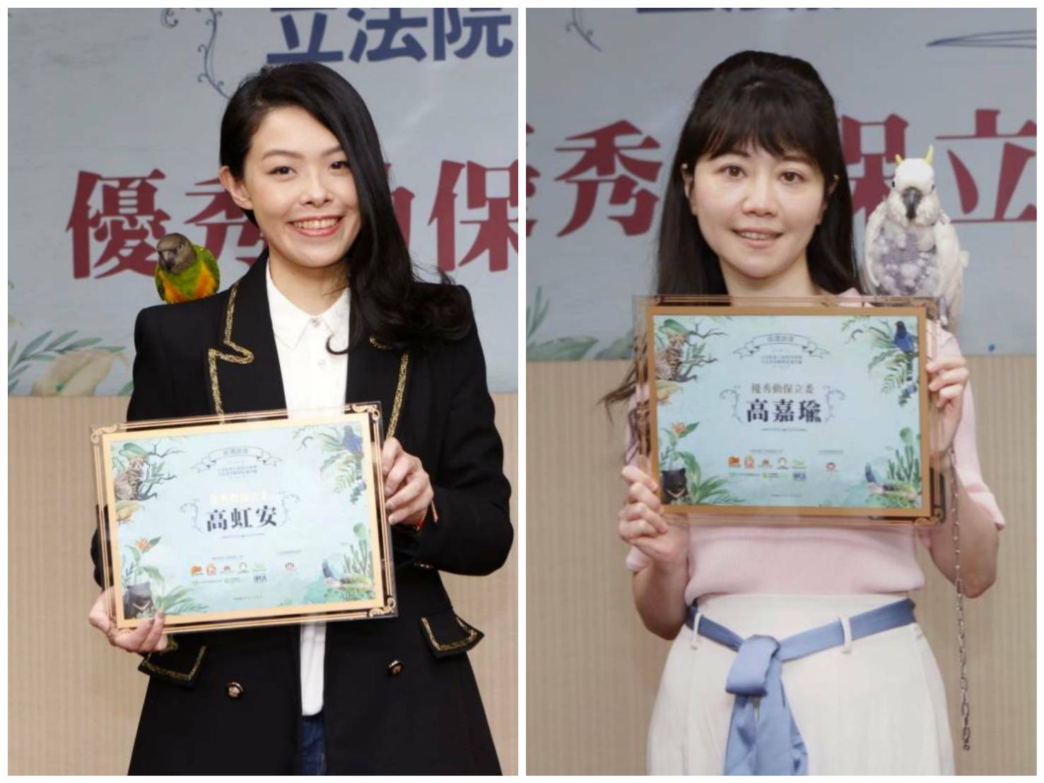 禽獸進國會/7立委獲鸚鵡頒動保績優獎 民團盼促朝野合作 48 1258124