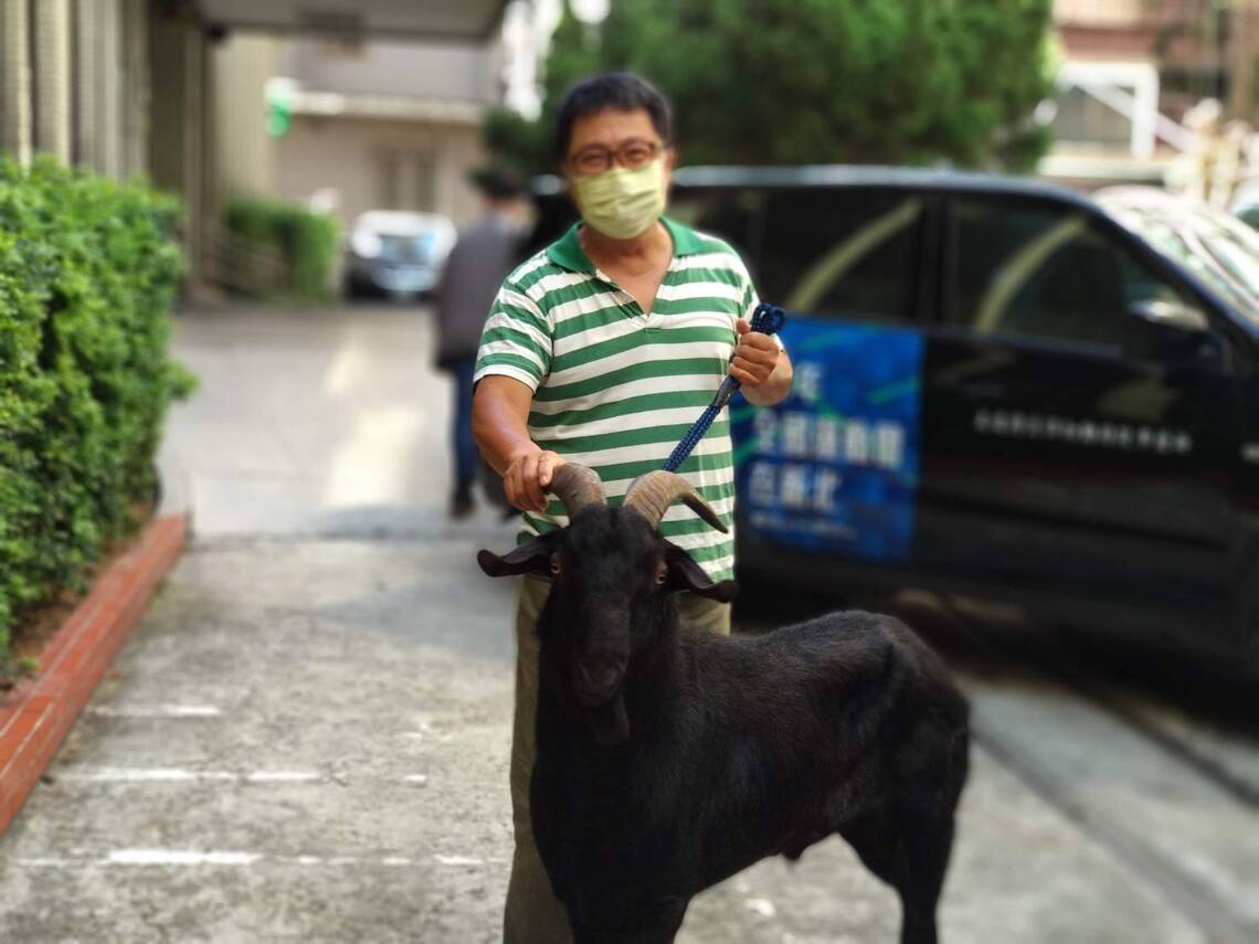 動保員保護救援弱勢的動物,是積功德的神聖工作/波新聞