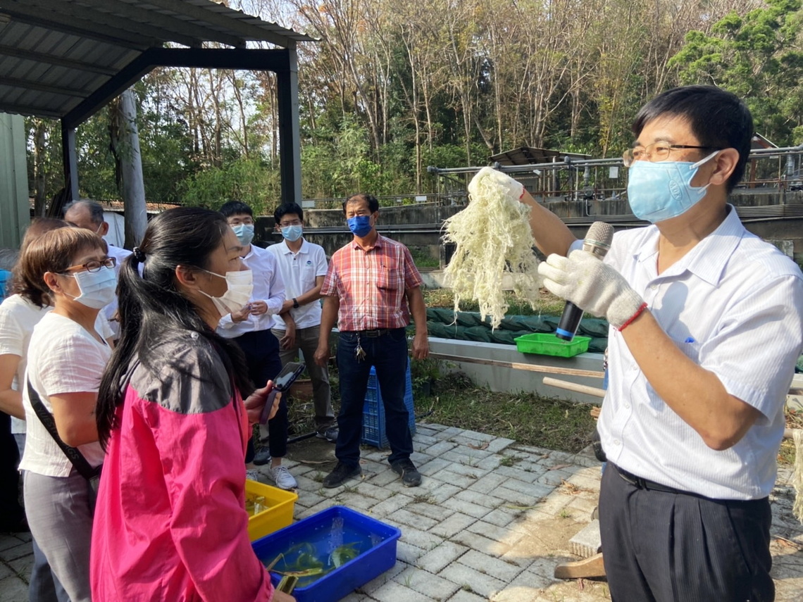 翻轉廢棄鳳梨莖與葉環保也吸睛