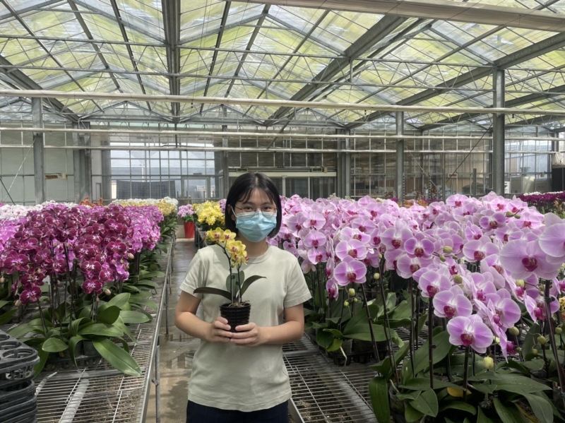 國際蘭展推住宿台南送限量蘭花小盆栽