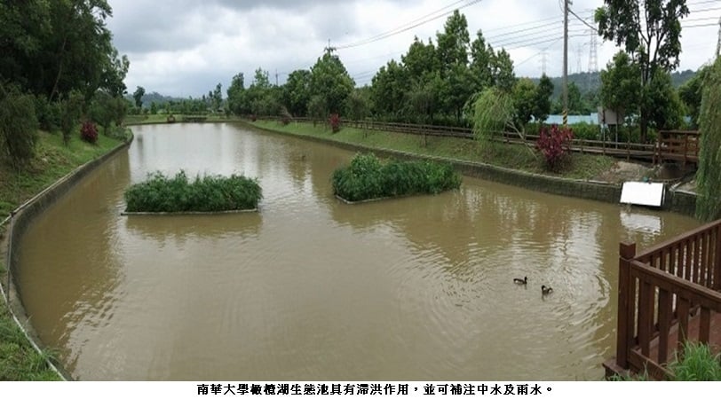 可能是樹、水體和文字的圖像