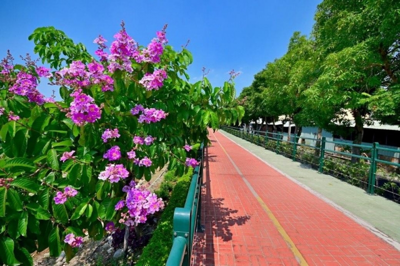 春遊中市最美自行車道 快意馳騁草湖溪畔山水間