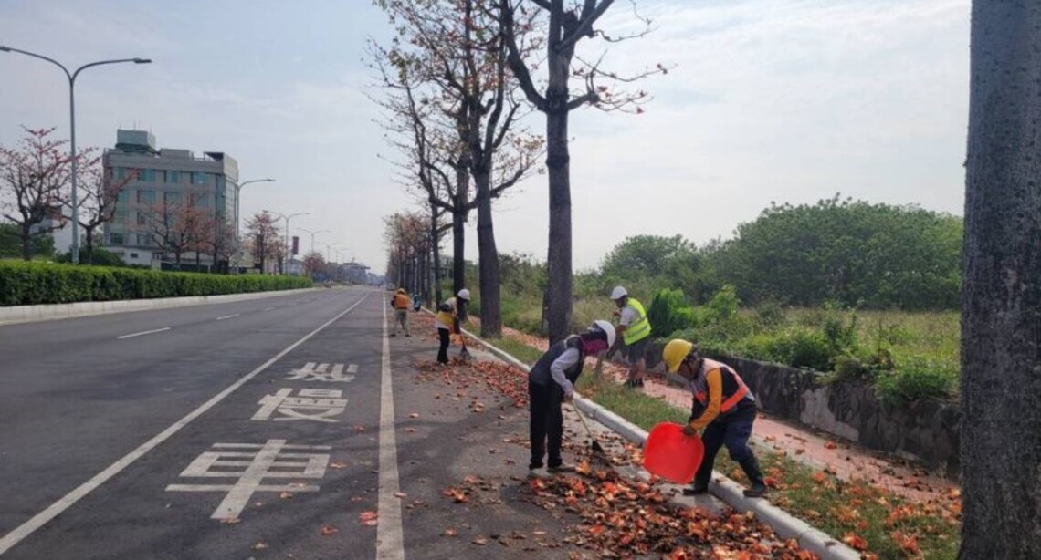 台南木棉落果路人憂慮 工局每日打掃