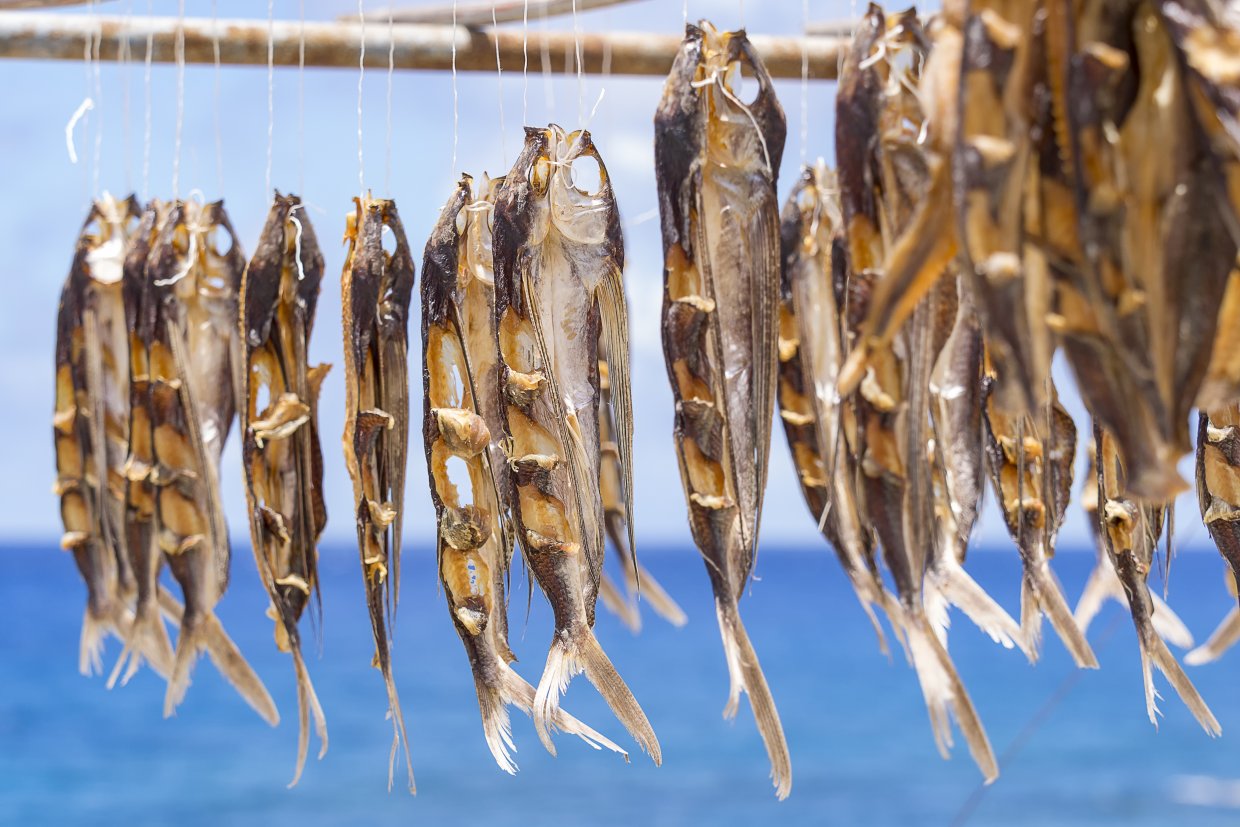 Flying,Fish,Drying,In,Lanyu,Of,Taiwan