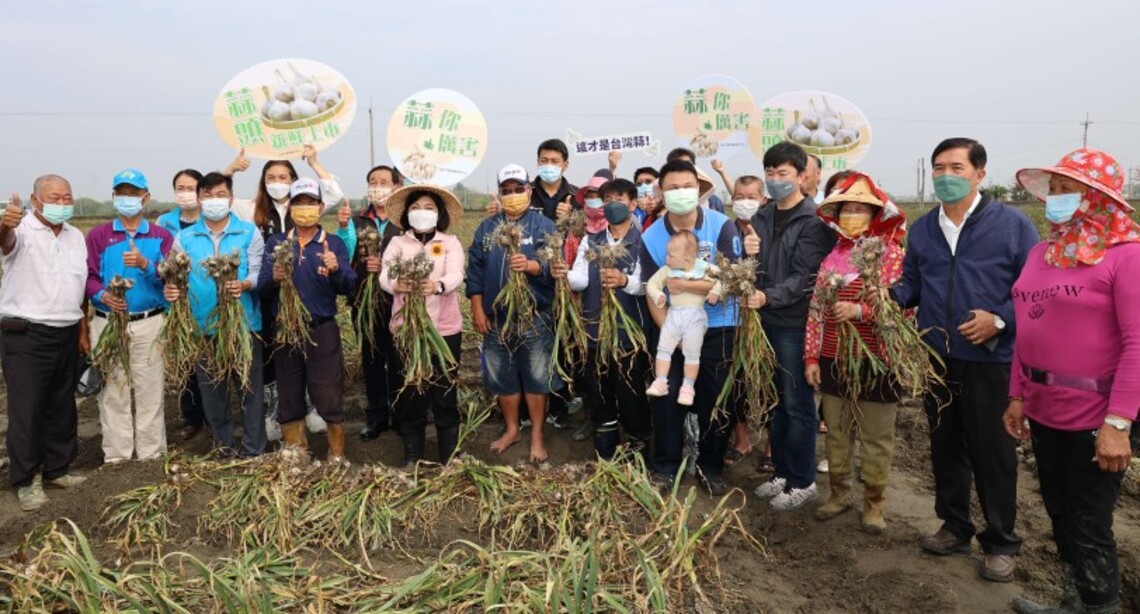 雲林蒜頭新鮮上市 張麗善挺在地蒜農    鼓勵民眾多消費國產蒜頭 呼籲中央管控外國蒜頭進口量