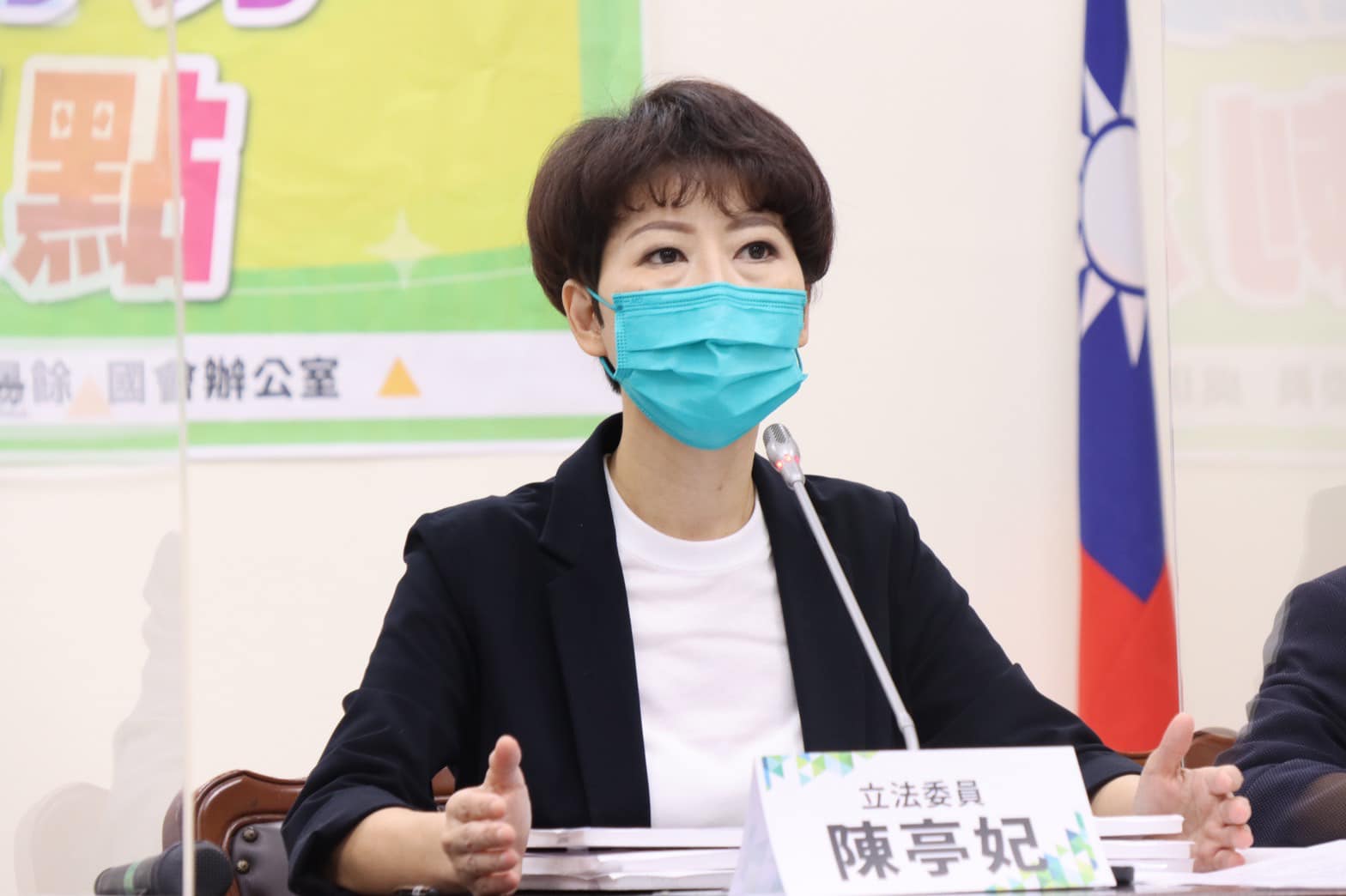 謝龍介網路人氣高 陳亭妃提醒別忘了2018「韓流」 54 立委陳亭妃