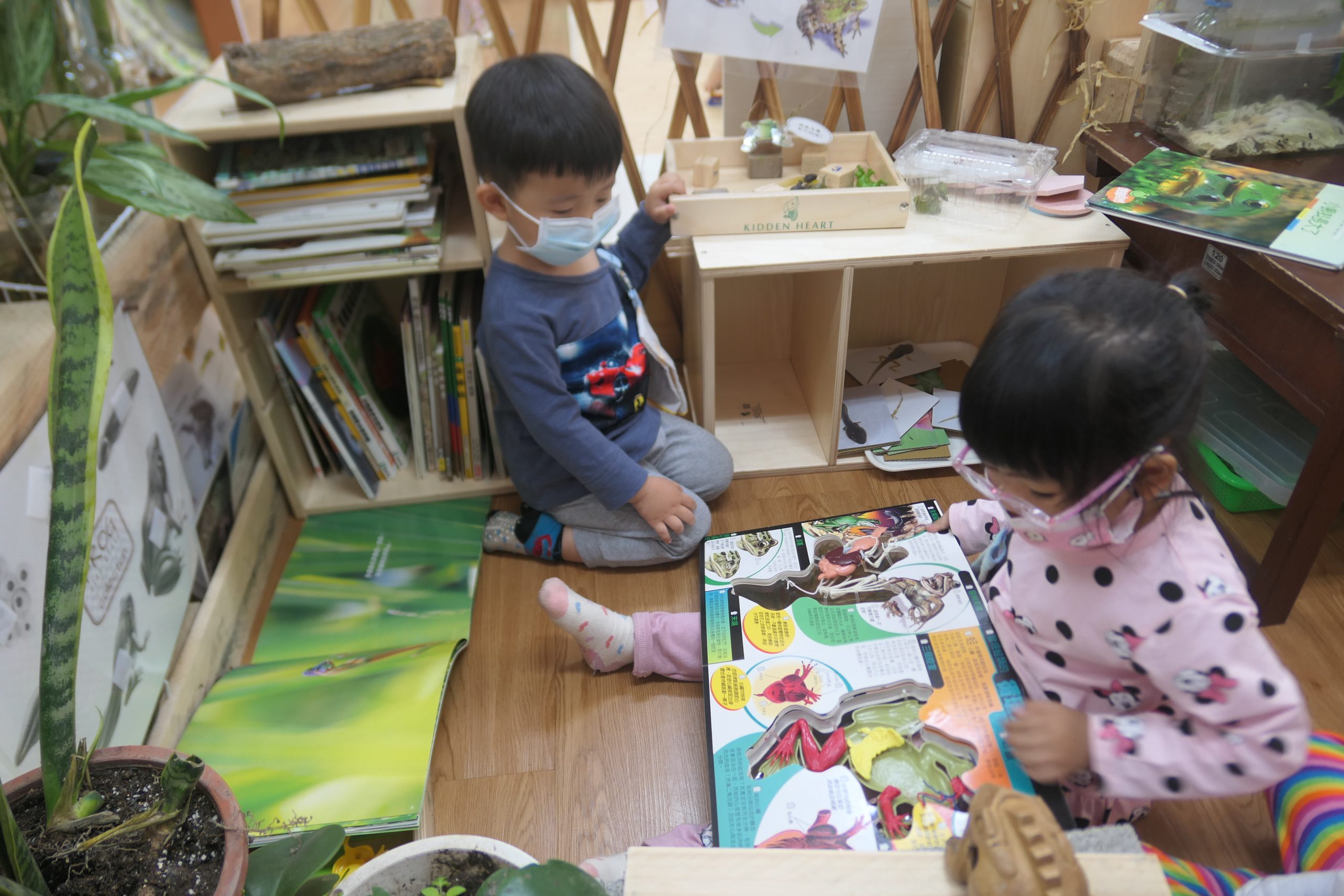 入園輔導活化課程 2歲幼兒托育也能好好「玩」