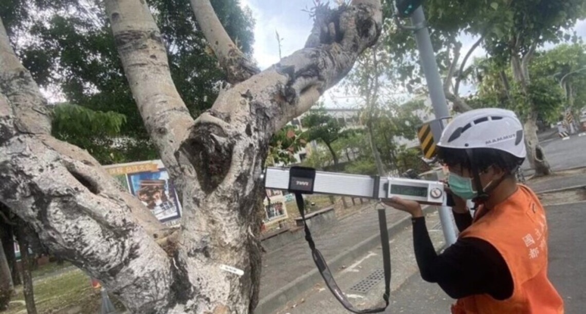台南行道樹健檢1成有風險
