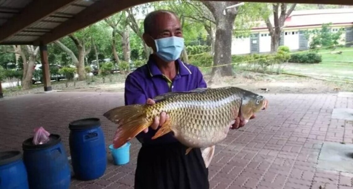 台南虎頭埤釣魚賽移除外來魚93公斤