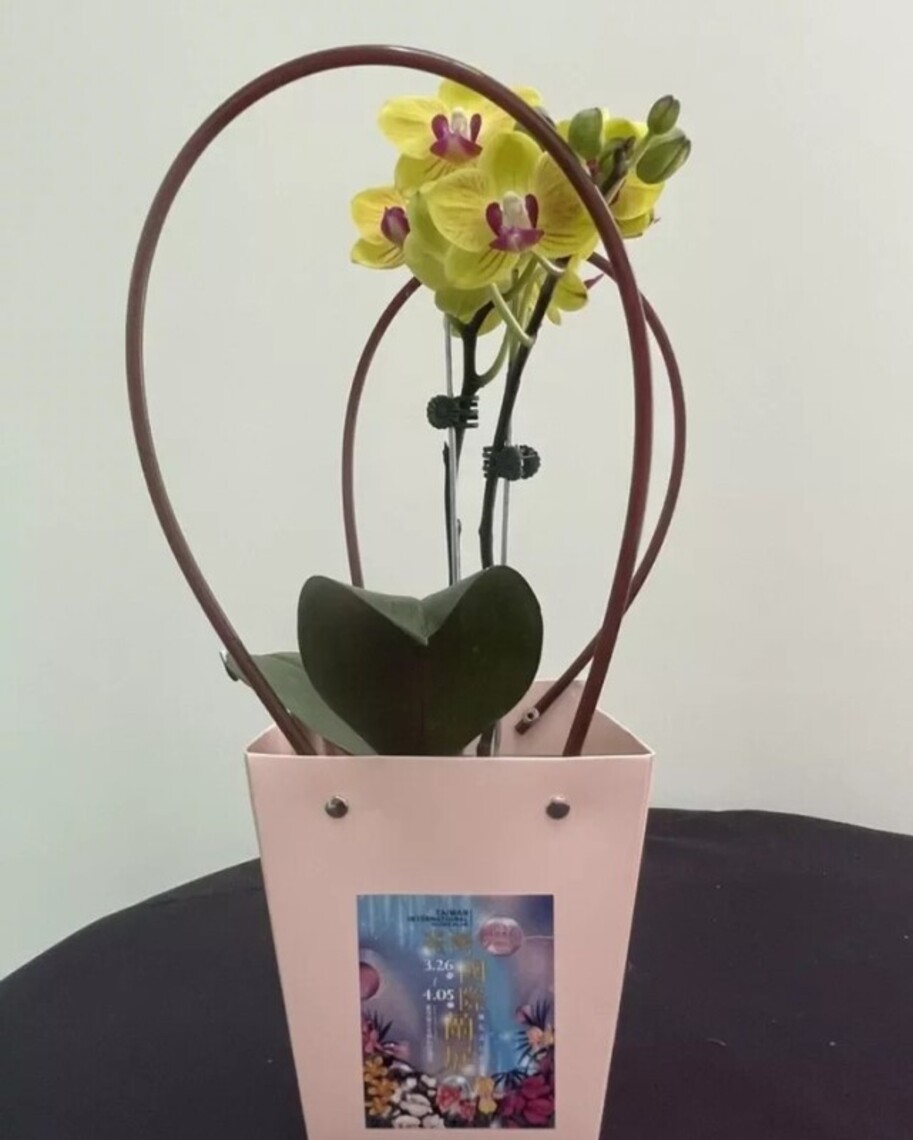 逛台灣蘭展送蘭花
