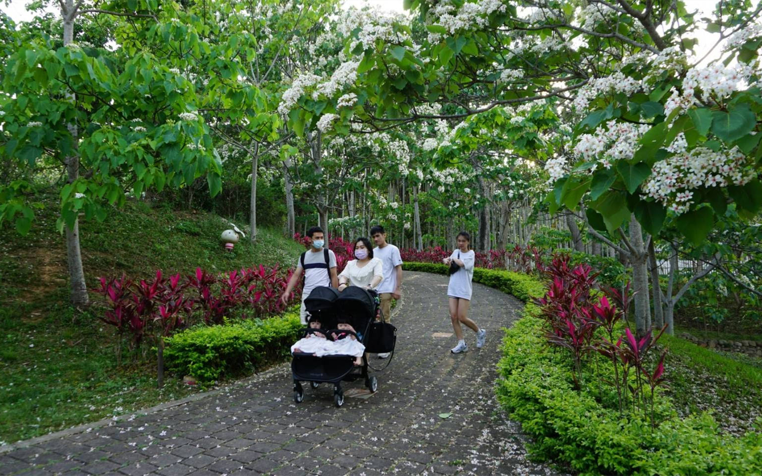 ▲桐花公園很適合踏青賞花親子遊。(圖/姜太公中部道場客家大院提供)