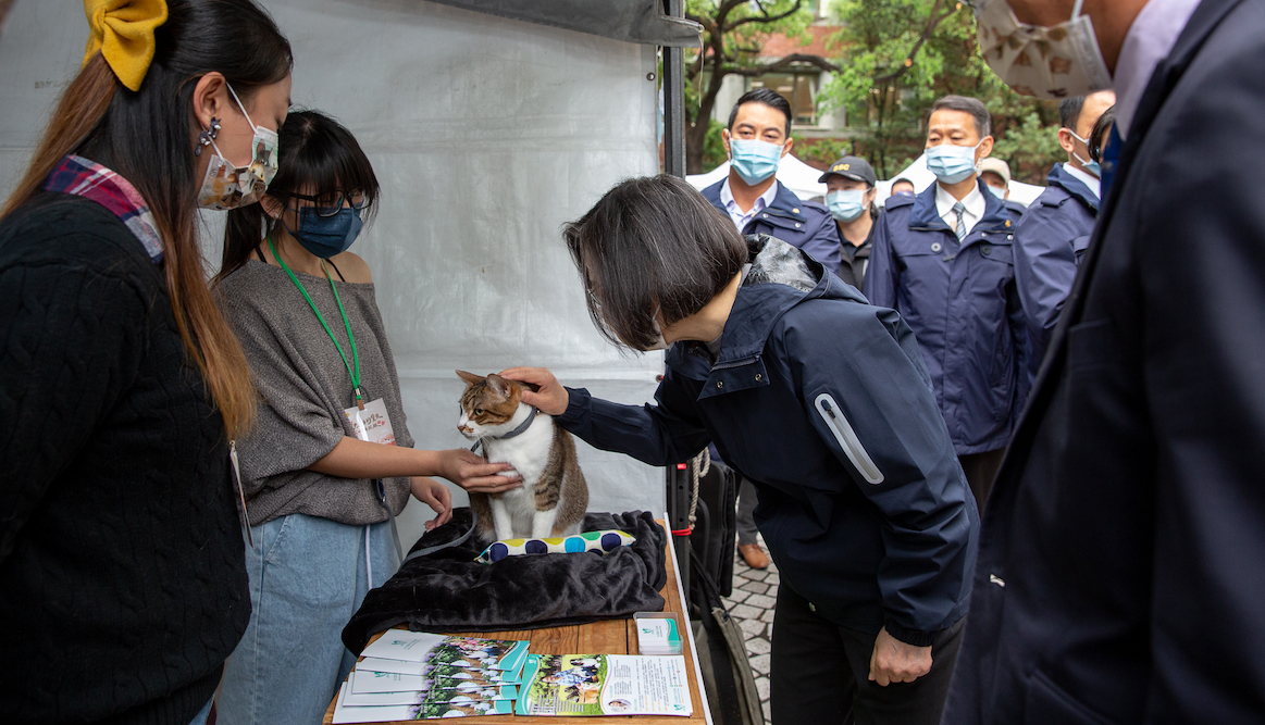 毛小孩權益制度化 蔡英文親見證寵物管理科成立 62 總統蔡英文4月3日上午出席「農委會寵物管理科動起來啟用儀式」,現場與貓咪互動。
