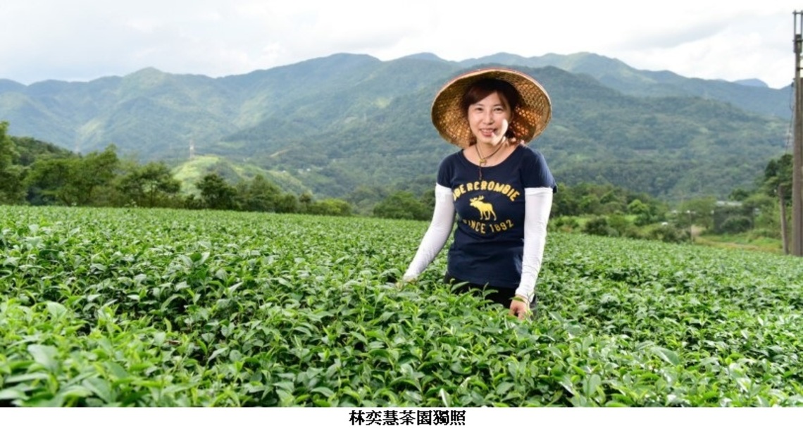 新北農村女力發威      東成茶葉轉型幕後的推手