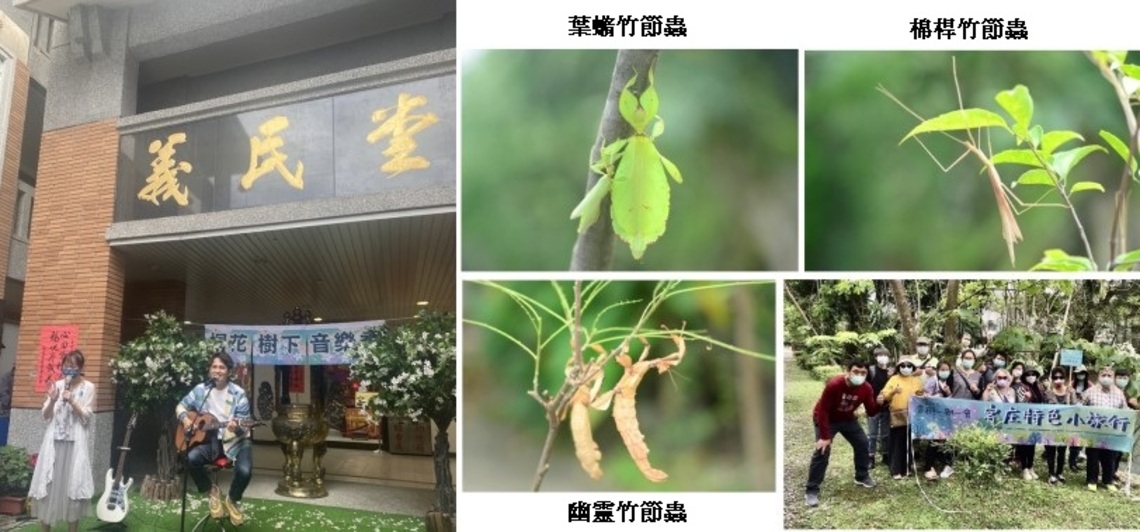 花蓮2022賞桐一期一會 與蝴蝶、竹節蟲一同暢玩生態週!