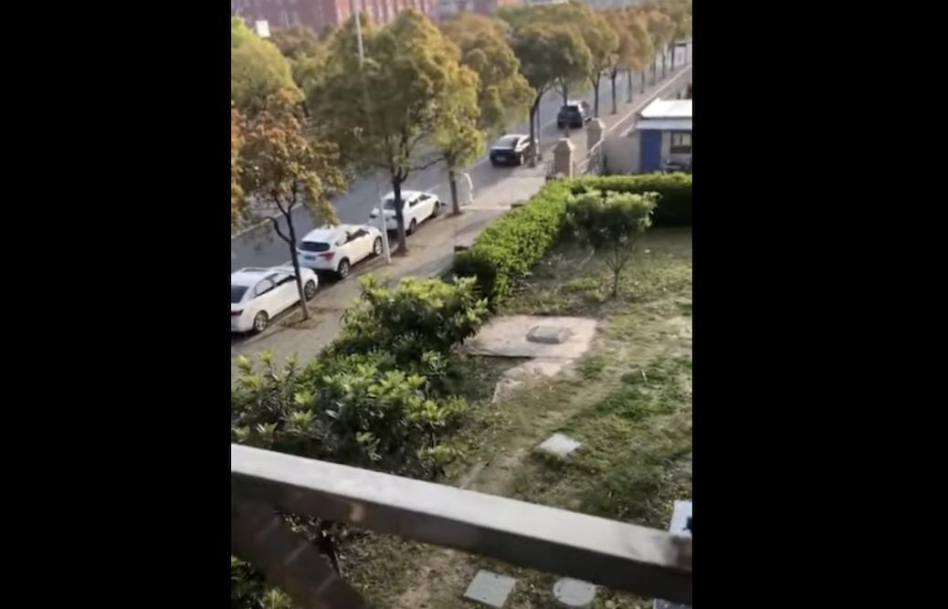 分析/用鐵鍬擊殺柯基犬事件暴露中國空有物質進步 內在心靈待升級 83 身處高樓的上海市民將防疫人員拍攝對柯基犬的施暴情況。